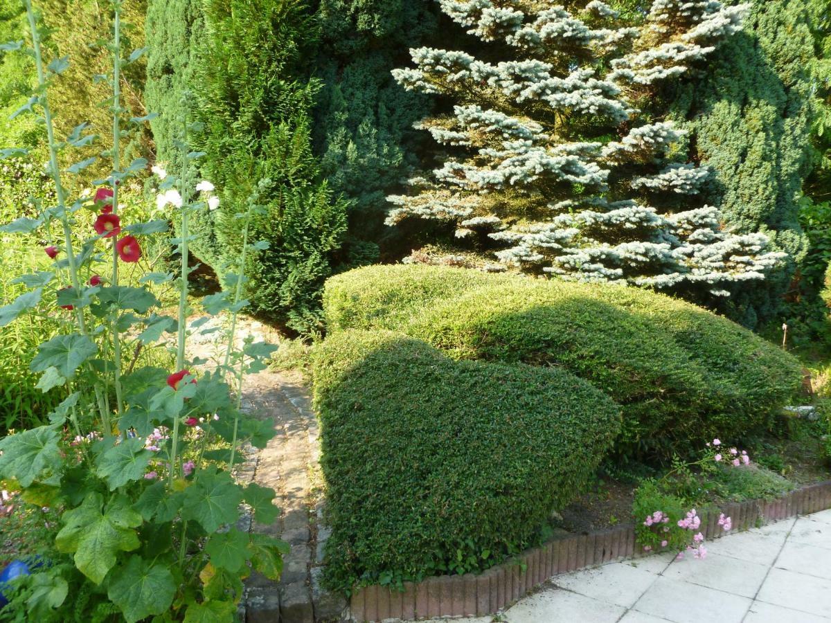 La Rose Tremiere Hotel Wintzenheim-Kochersberg Eksteriør billede